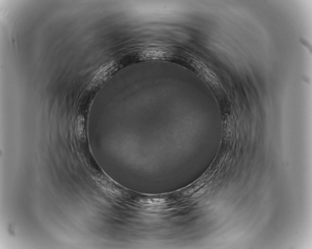 X0000097000361200802221526