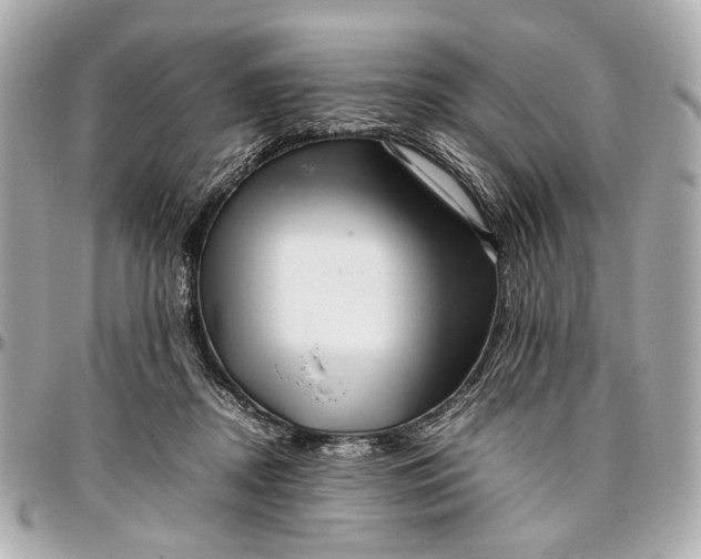 X0000097000362200802221526