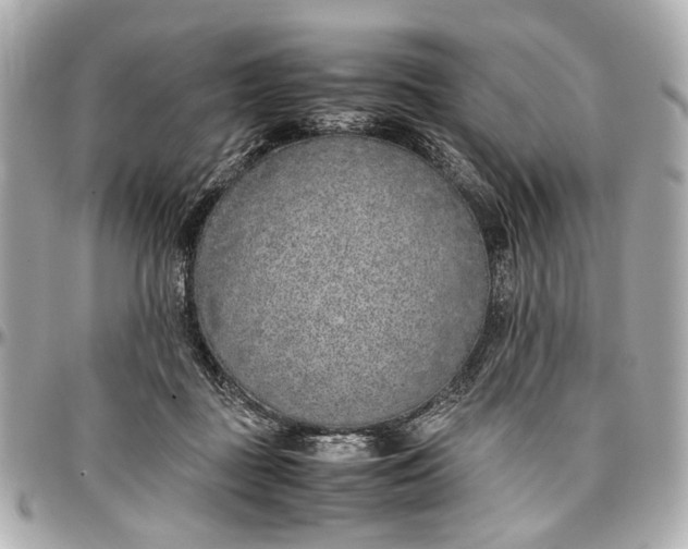 X0000097000363200802221526