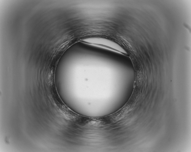 X0000097000364200802221526