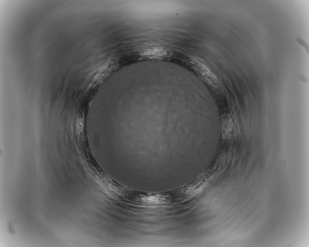 X0000097000365200802221526