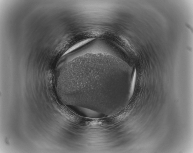 X0000097000366200802221526