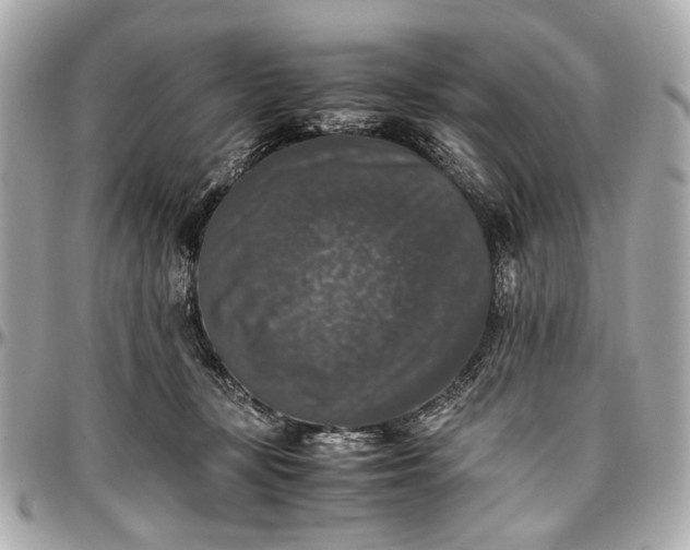 X0000097000367200802221526