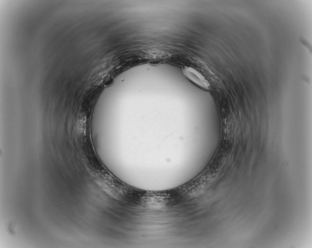 X0000097000368200802221526