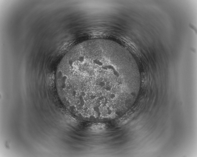 X0000097000369200802221526