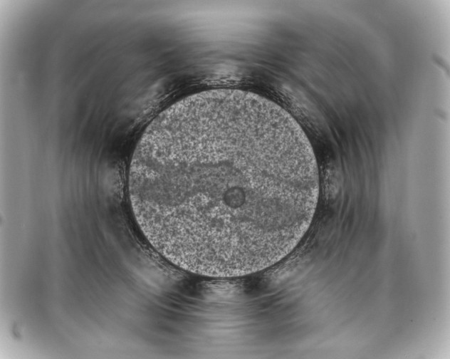 X0000097000370200802221526