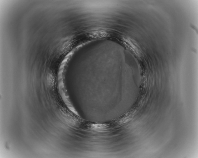 X0000097000371200802221526