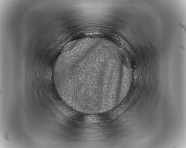 X0000097000372200802221526