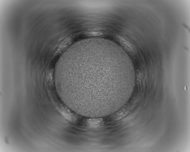 X0000097000373200802221526