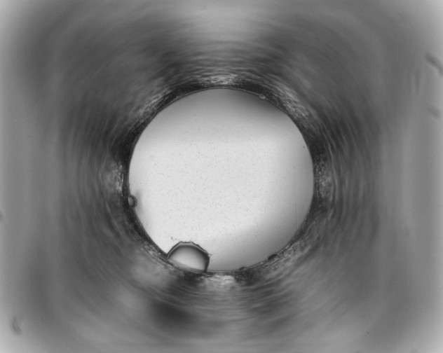 X0000097000374200802221526