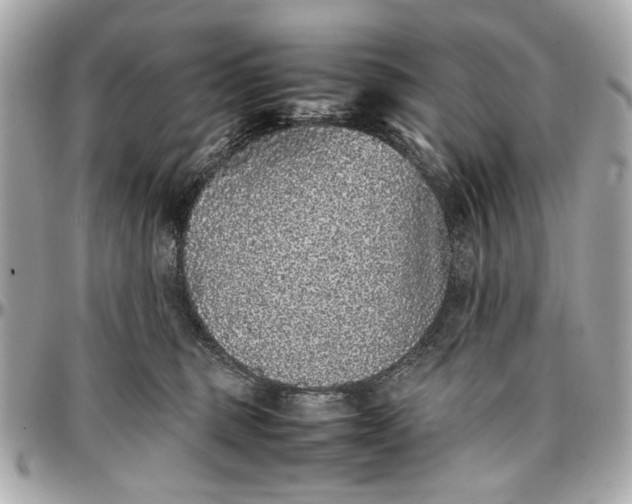 X0000097000375200802221526