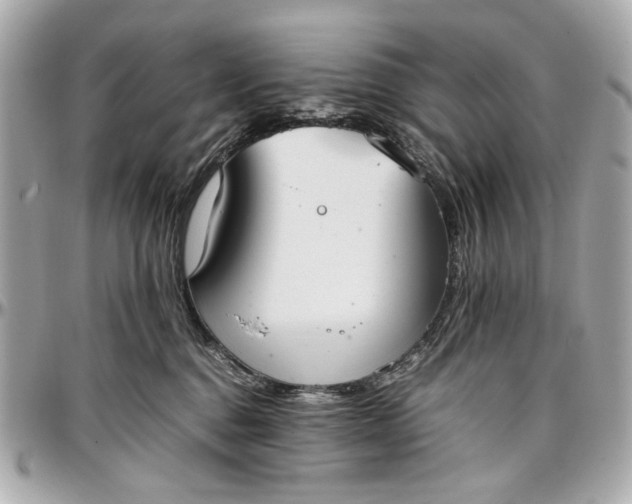 X0000097000376200802221526