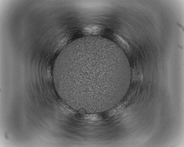 X0000097000377200802221526