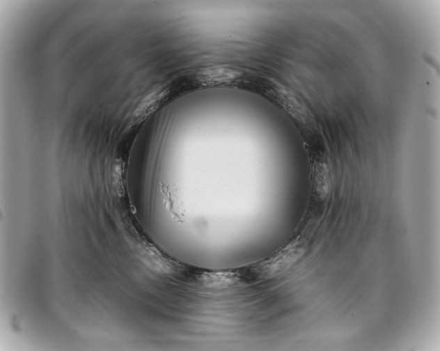 X0000097000378200802221526