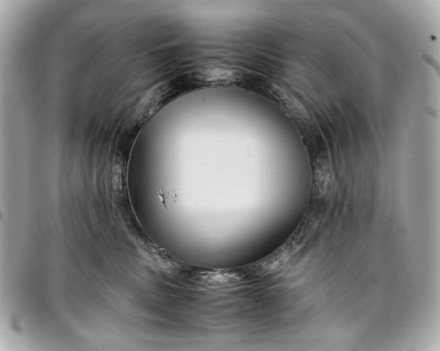 X0000097000379200802221526