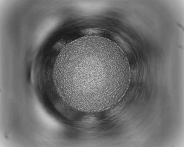 X0000097000381200802221526