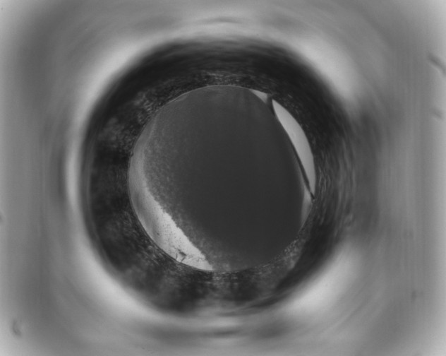 X0000097000383200802221526