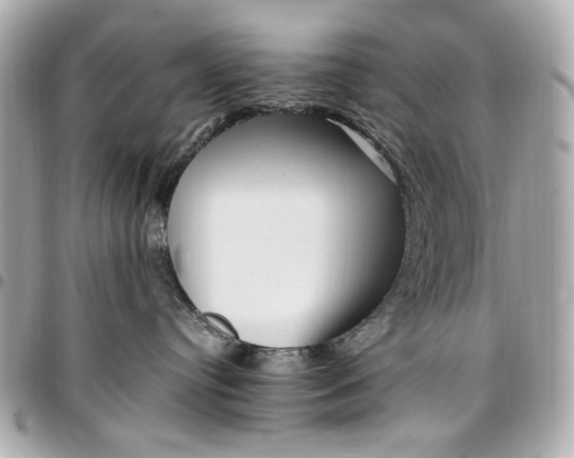 X0000097000384200802221526