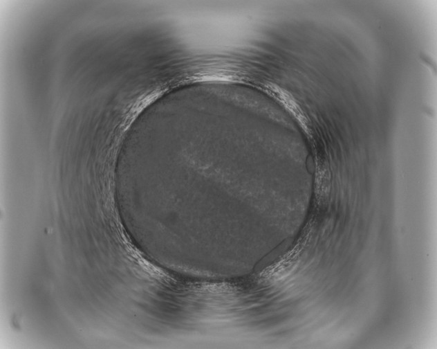 X0000097000385200802221526