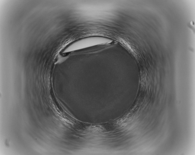 X0000097000386200802221526