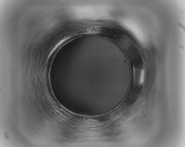 X0000097000387200802221526