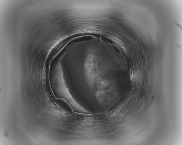 X0000097000388200802221526