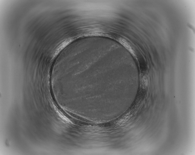 X0000097000389200802221526