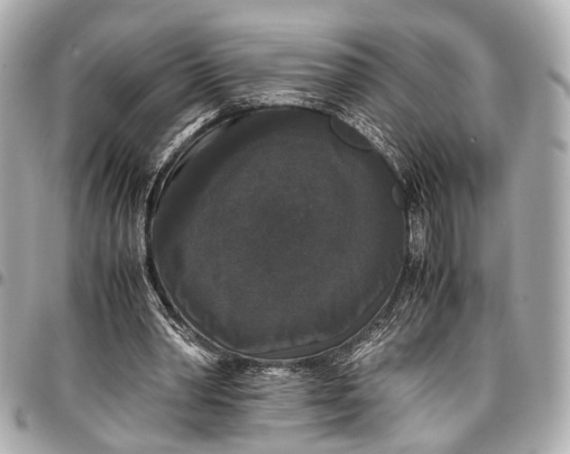 X0000097000390200802221526