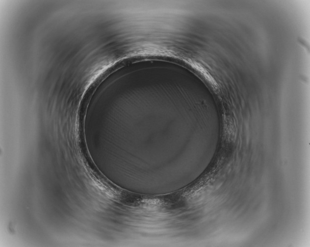 X0000097000391200802221526