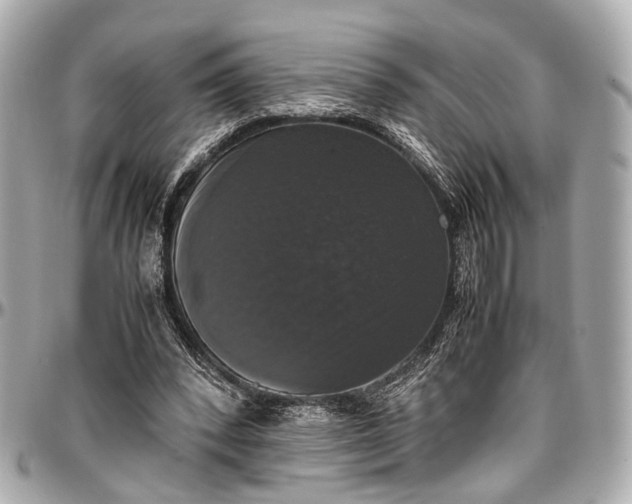 X0000097000392200802221526