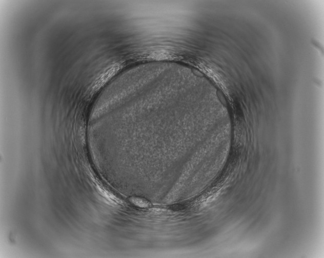 X0000097000393200802221526