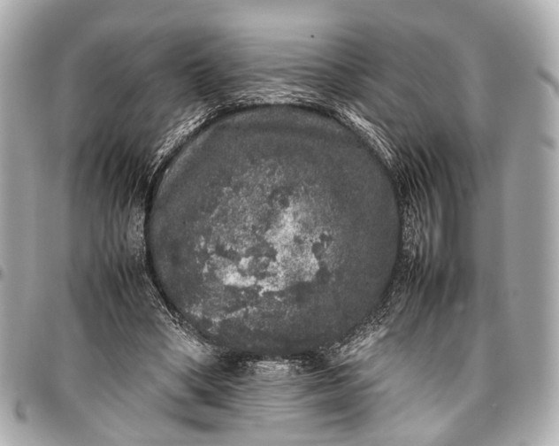 X0000097000394200802221526