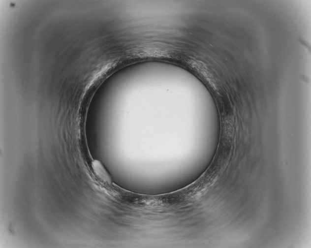 X0000097000395200802221526