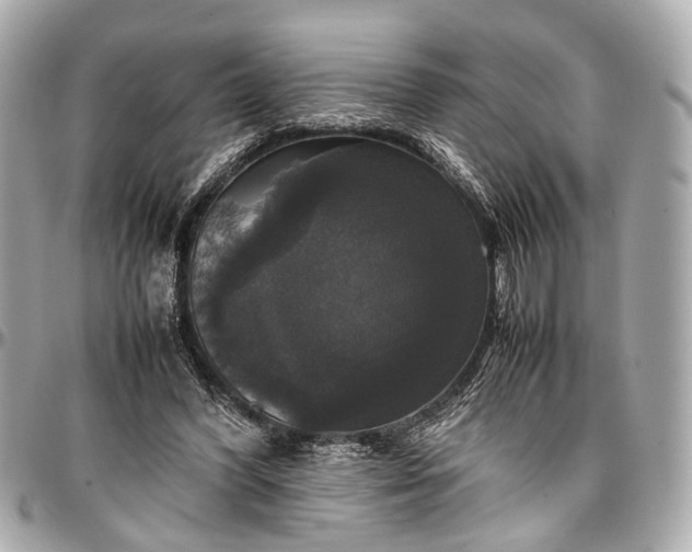 X0000097000396200802221526