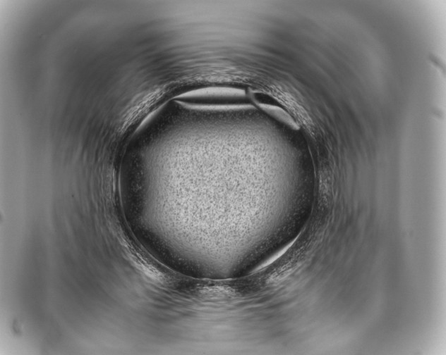 X0000097000397200802221526