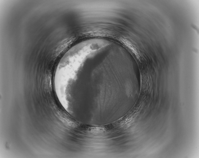 X0000097000398200802221526