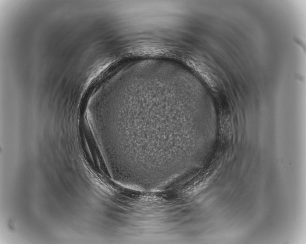 X0000097000399200802221526