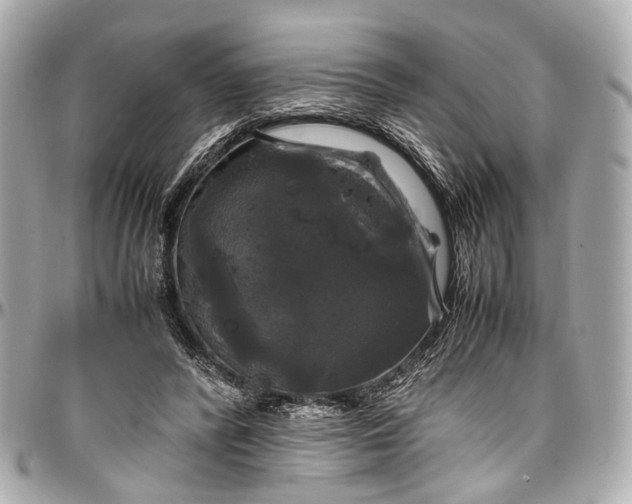 X0000097000400200802221525