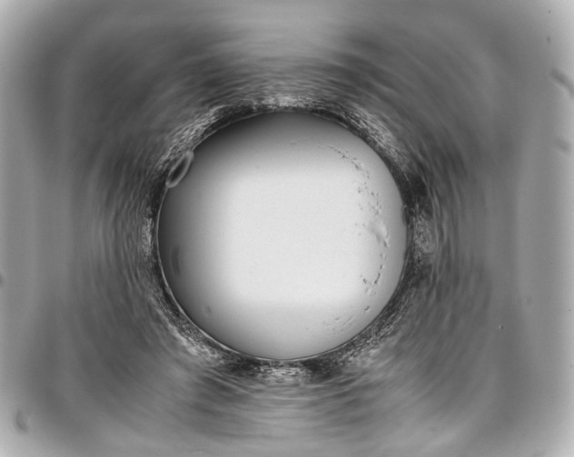 X0000097000401200802221525