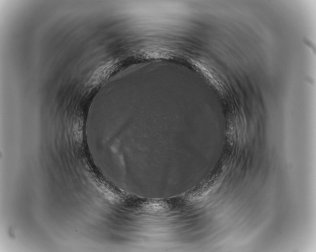 X0000097000402200802221525