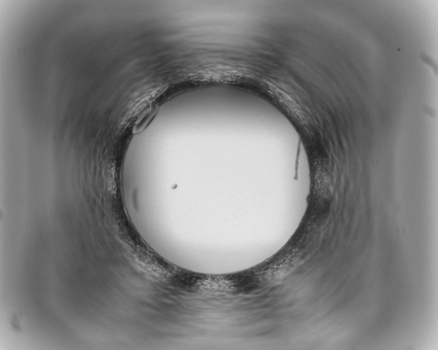 X0000097000403200802221525