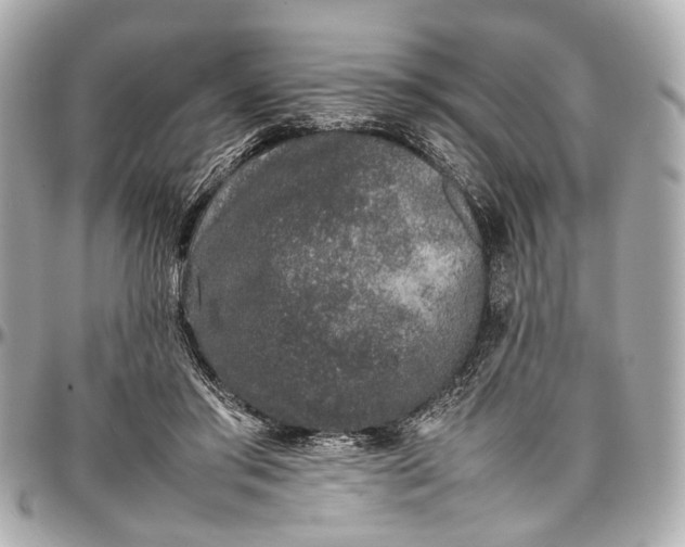 X0000097000405200802221525