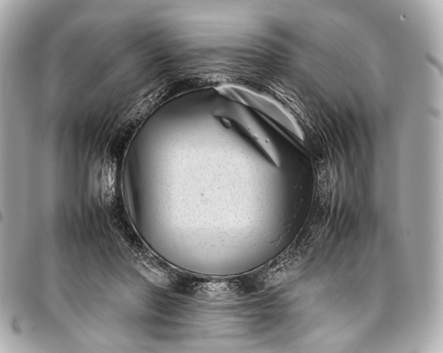 X0000097000406200802221525