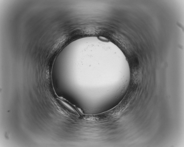 X0000097000407200802221525