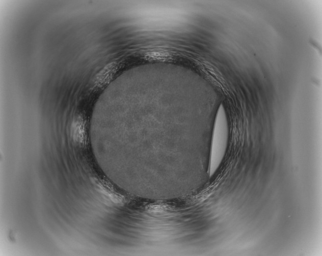 X0000097000408200802221525