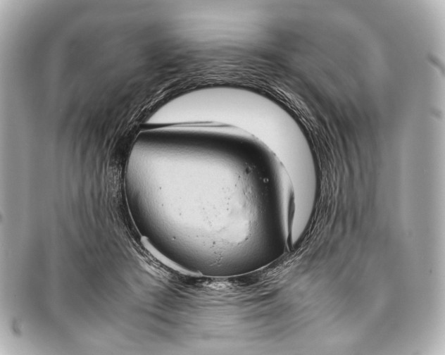 X0000097000409200802221525