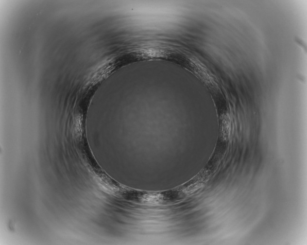 X0000097000410200802221525