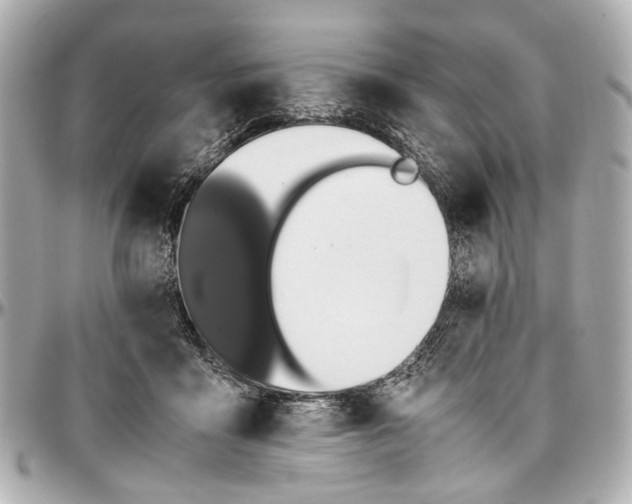 X0000097000411200802221525