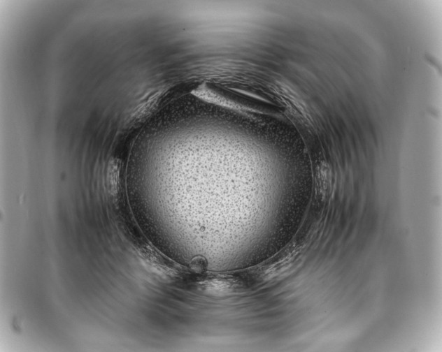 X0000097000412200802221525