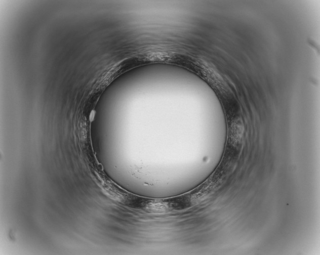 X0000097000413200802221525